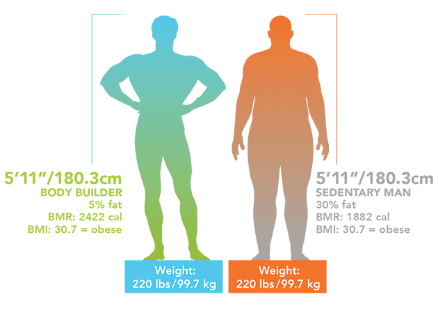 average body fat percentage chart by age