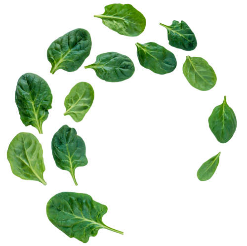 bg-spinach-circle