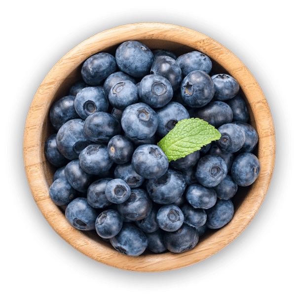 img-bowl-blueberries