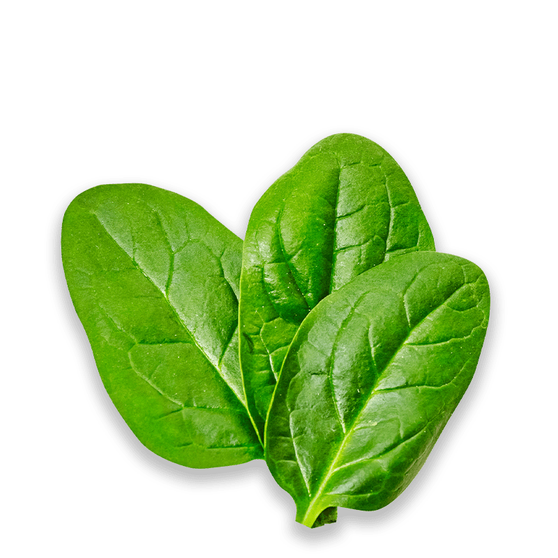 img-spinach-leaves