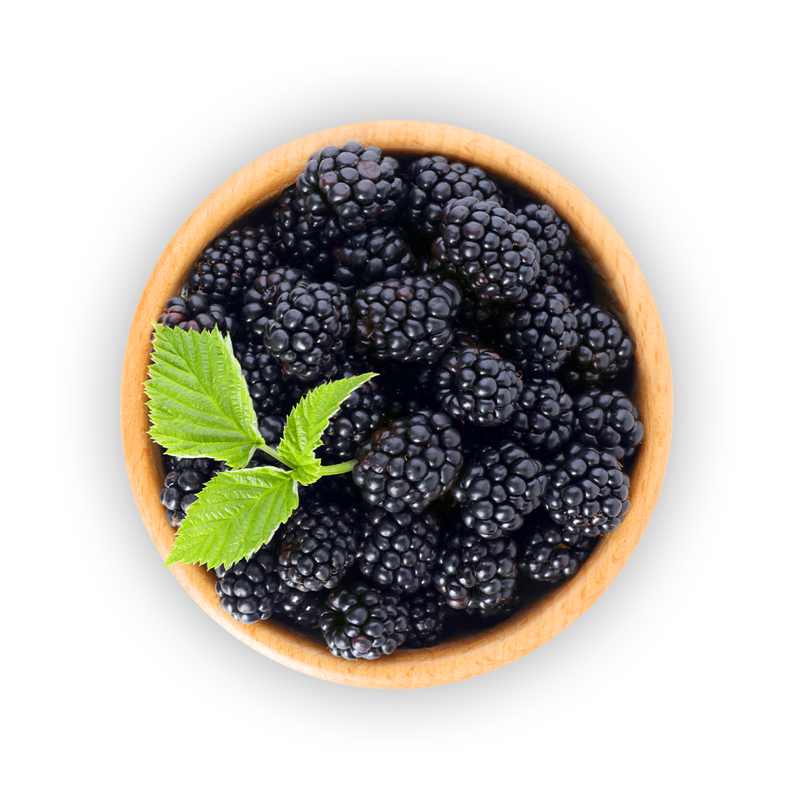 img-bowl-blackberries